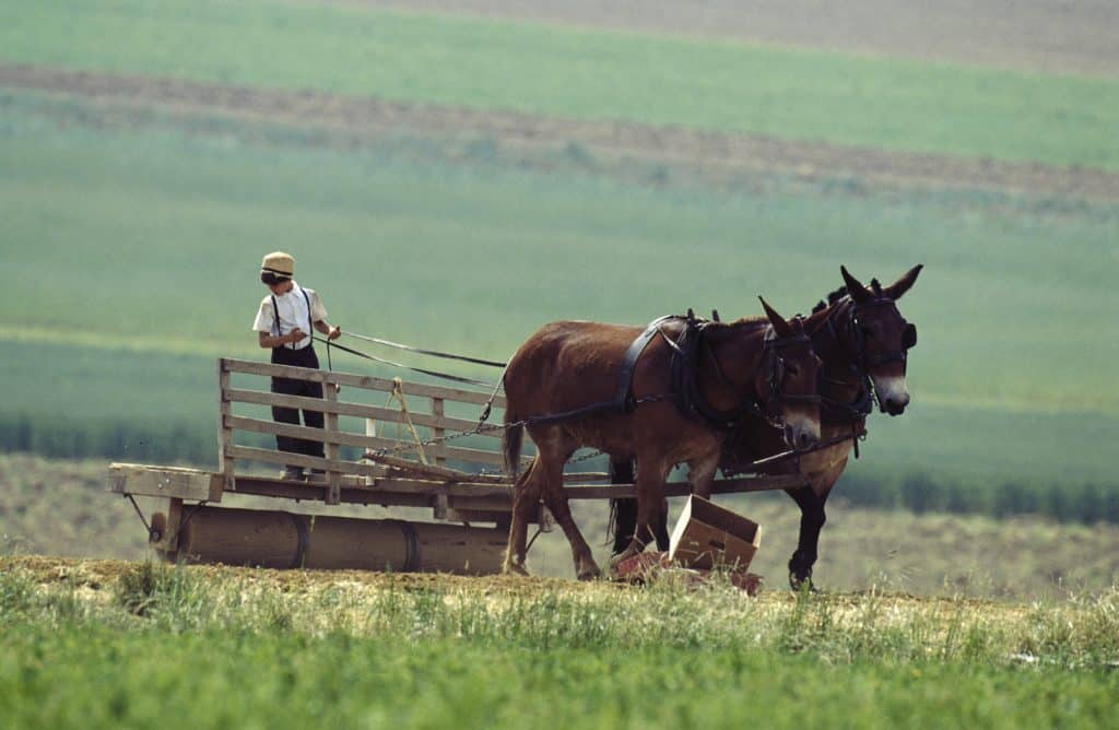 Amische in Lancaster County, Pennsylvania - nahe Philadelphia