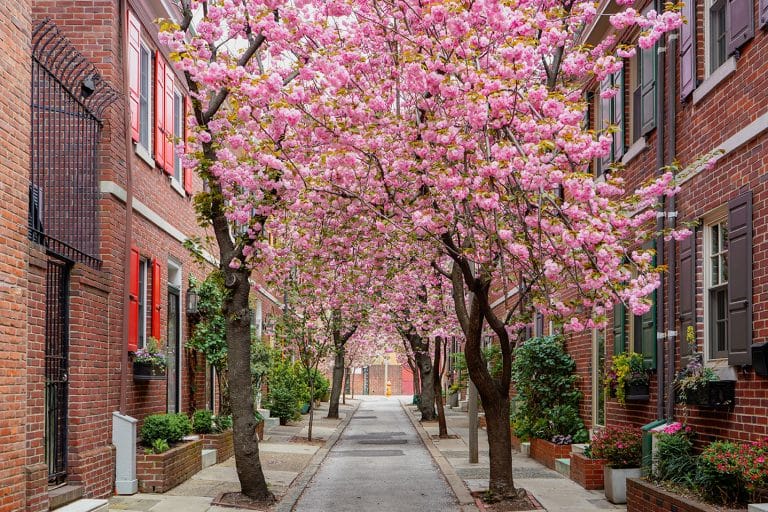 Philadelphia im Frühling
