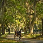 Pebble Hill Plantation in Thomasville