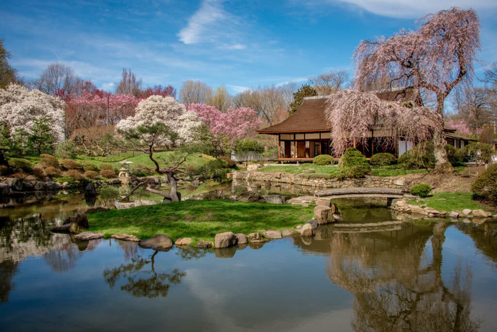 Shofuso Japanese Garden