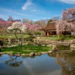Shofuso Japanese Garden