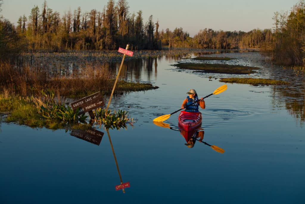 Okefenokee Swamps in Georgia