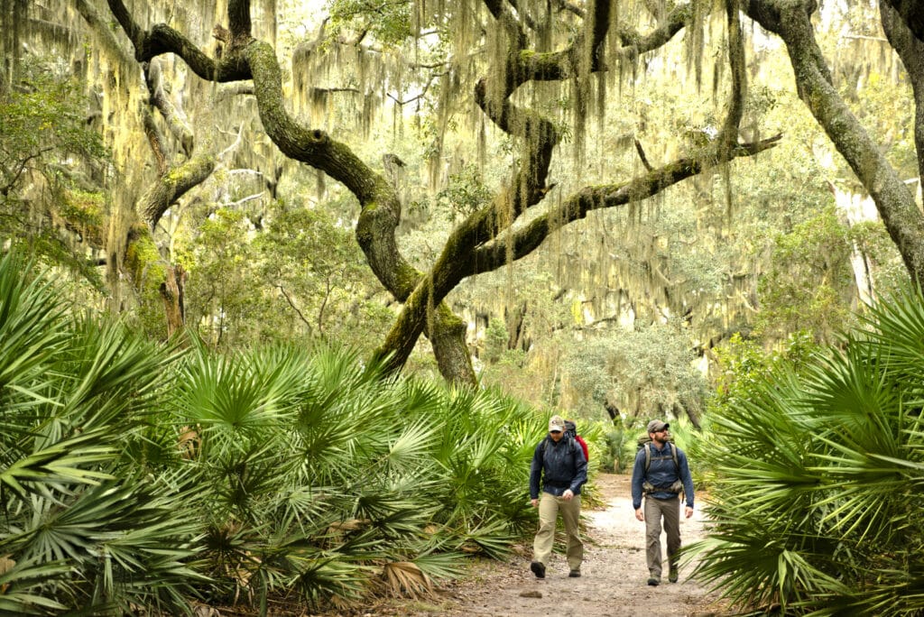 Wanderer auf Cumberland Island