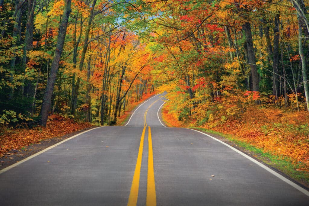 Biking Michigan: Tunnel of Trees, Lakeshore & More