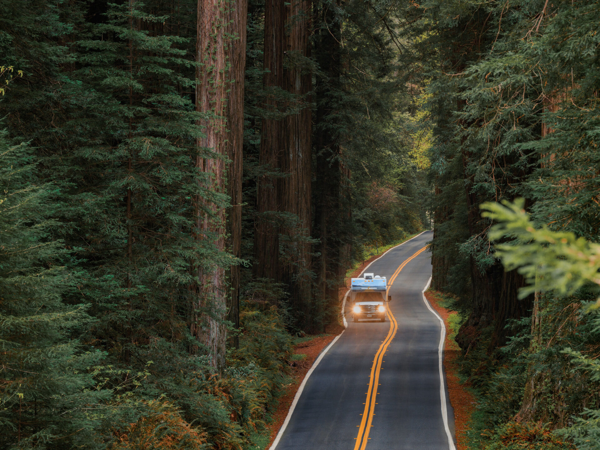 Cruise America - Mit dem Wohnmobil die Mammutbäume entdecken