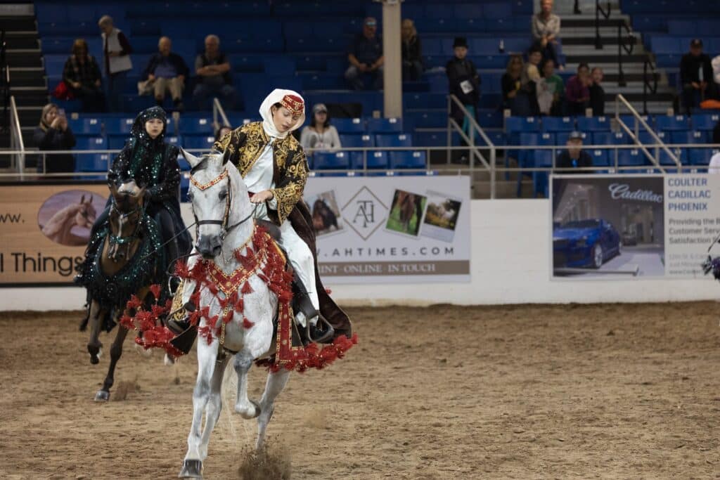 Araberpferdeshow in Scottsdale