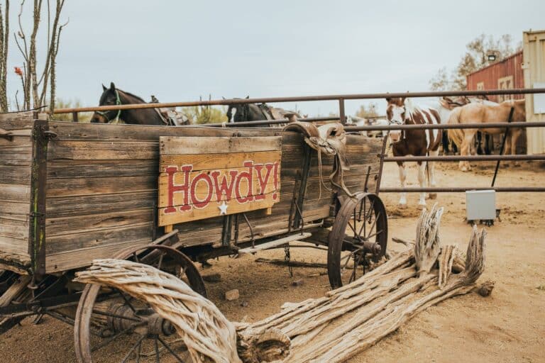 Ranches, Honkytonks und Western-Spirit von Old Town bis in die Randgebiete!