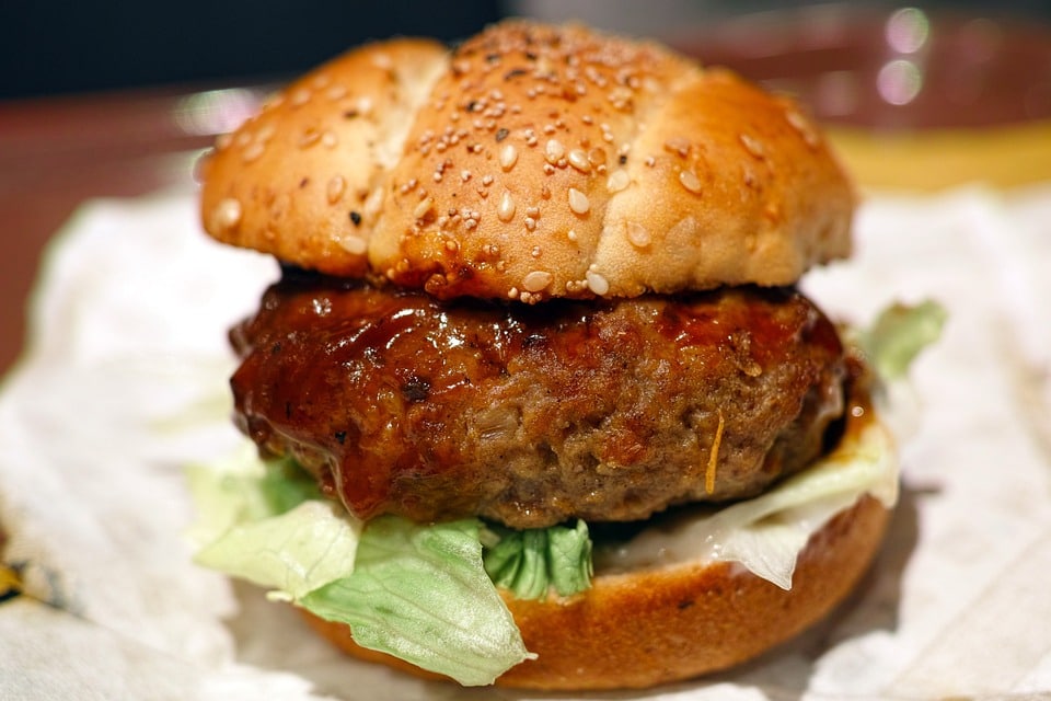 Kentucky Fried Chicken Burger