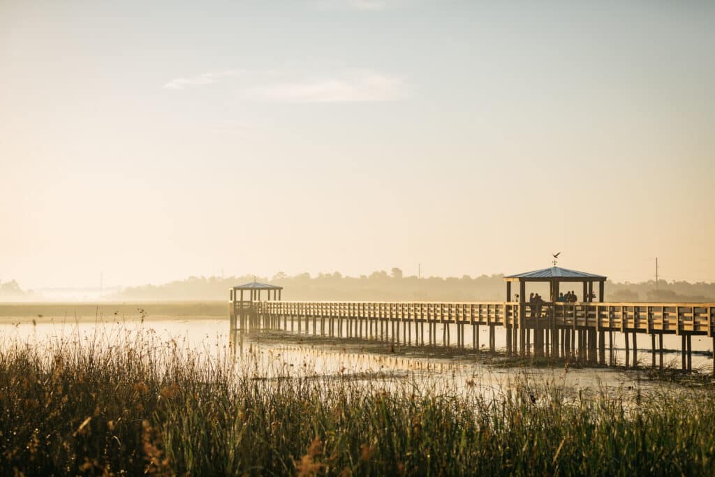 Cattail Marsh - Scenic Wetlands & Boardwalk in Beaumont, Texas