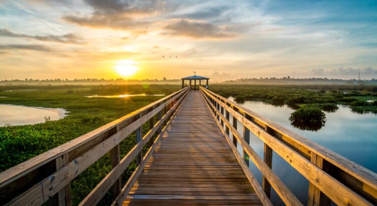 Cattail Marsh Scenic Wetlands & Boardwalk in BEAUMONT, Texas