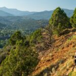 Wanderung auf dem Rim Trail at Fort Lewis College bei Durango, Colorado