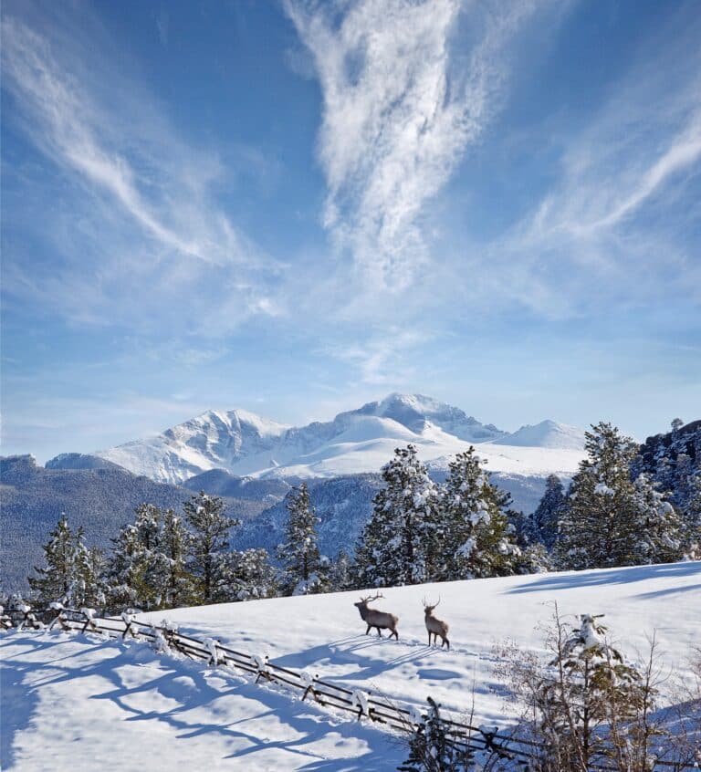 Winterlandschaft bei Estes Park