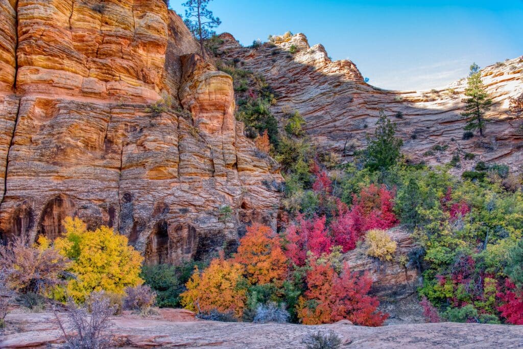 Zion Nationalpark im Herbst