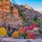 Zion Nationalpark im Herbst
