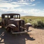 Petrified Forest National Park