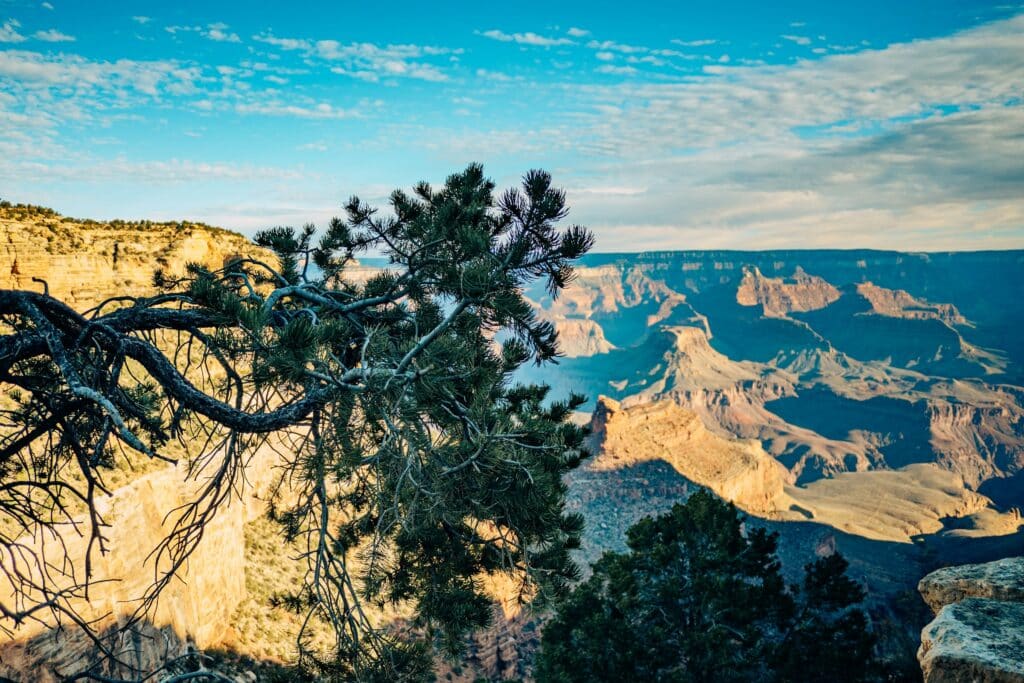 Grand Canyon