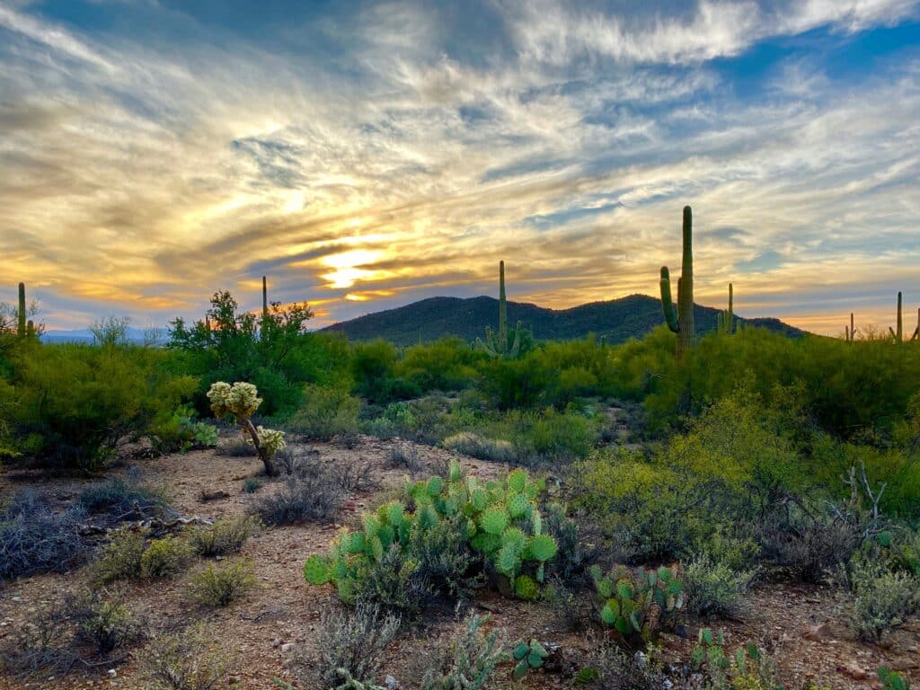 Tucson Tucson