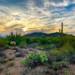 Tucson Tucson