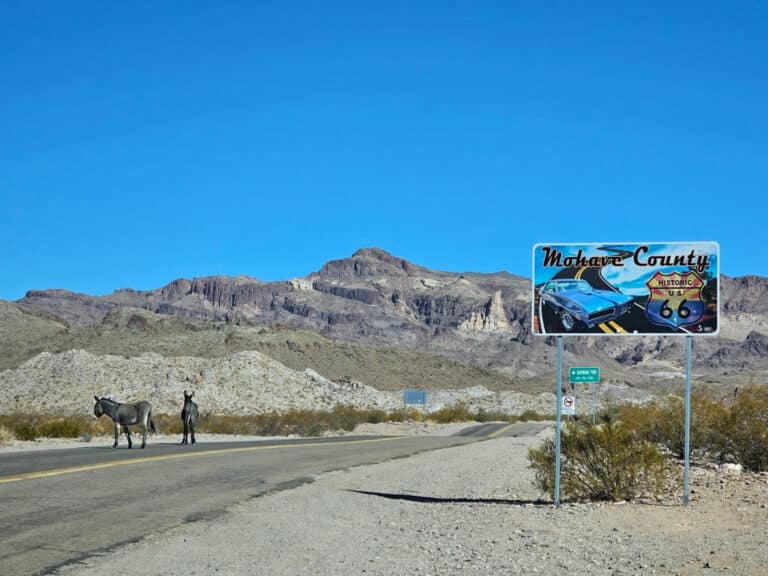 Esel vor Oatman