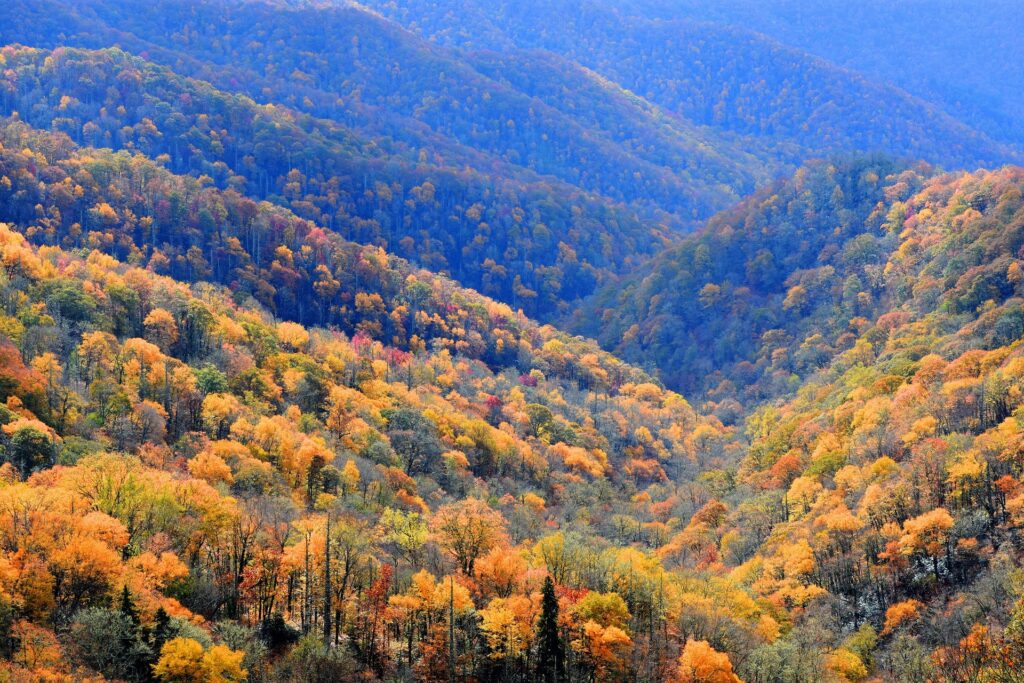 Great Smoky Mountains