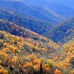 Great Smoky Mountains