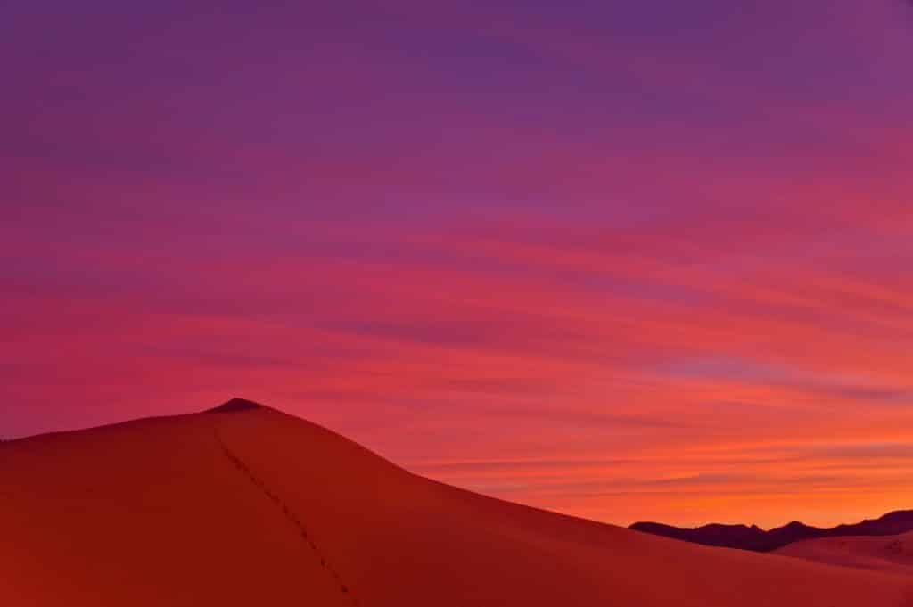 Coral Pink Sand Dunes State Park bei Kanab, Utah