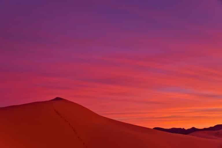 Coral Pink Sand Dunes State Park bei Kanab, Utah