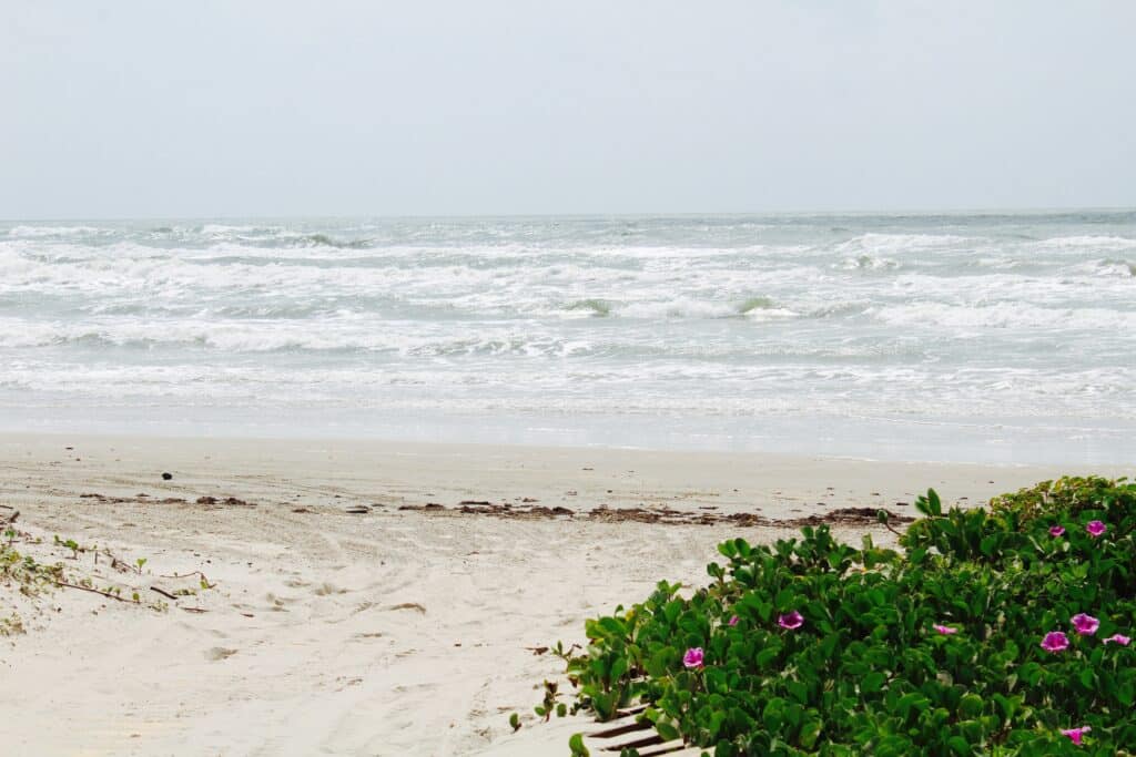 Mustang Island State Park in Corpus Christi