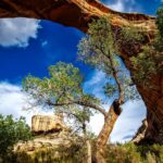 Sipapu Bridge - Natural Bridges National Monument - Utah