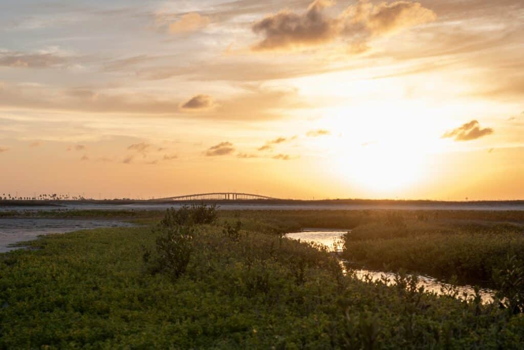 Blick auf Mustang Island und Corpus Christi