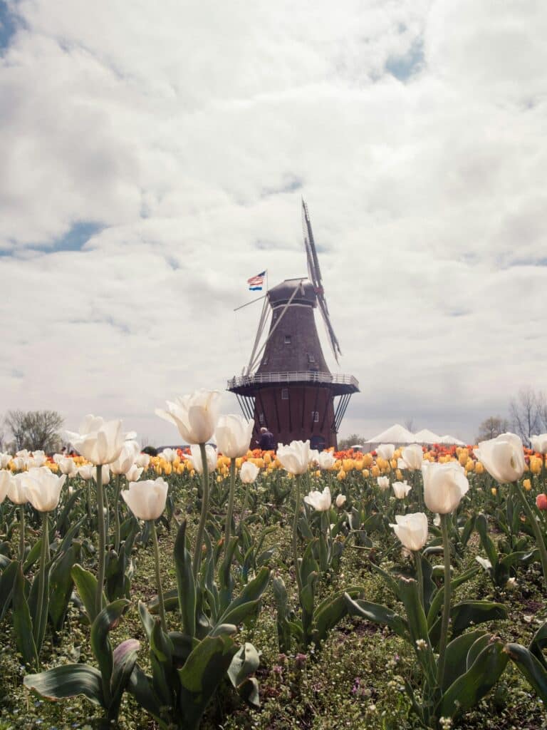Holland, Michigan
