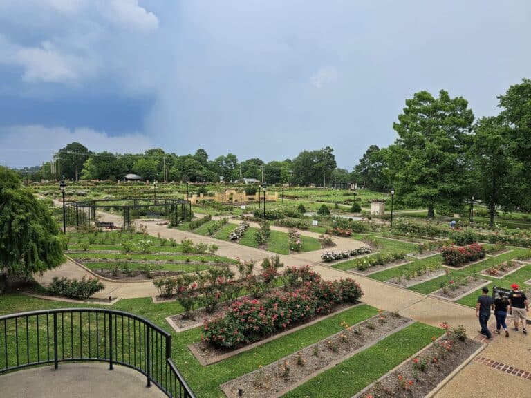 Hunderte Sorten im Rose Garden in Tyler, Texas