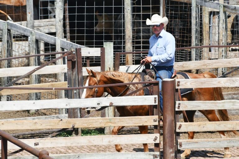 Oklahoma City, OK | Cowboy in den Stockyards