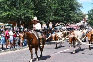 Fort Worth, TX | Stockyards Cattle Drive