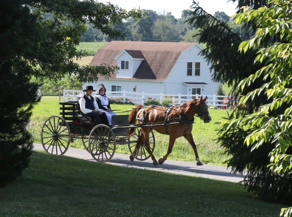 Amish bei Kutschfahrt in Dalton - Ohio