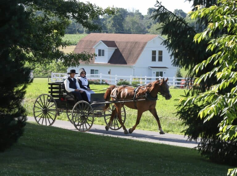 Amish bei Kutschfahrt in Dalton - Ohio