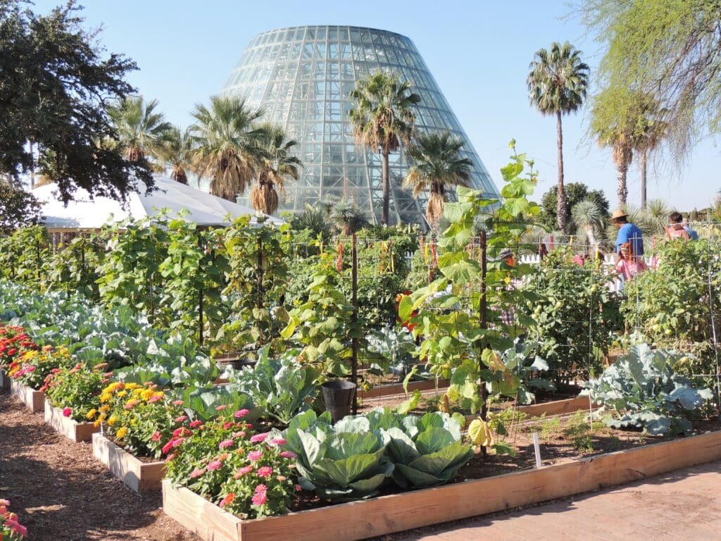 San Antonio Botanical Garden