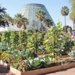 San Antonio Botanical Garden