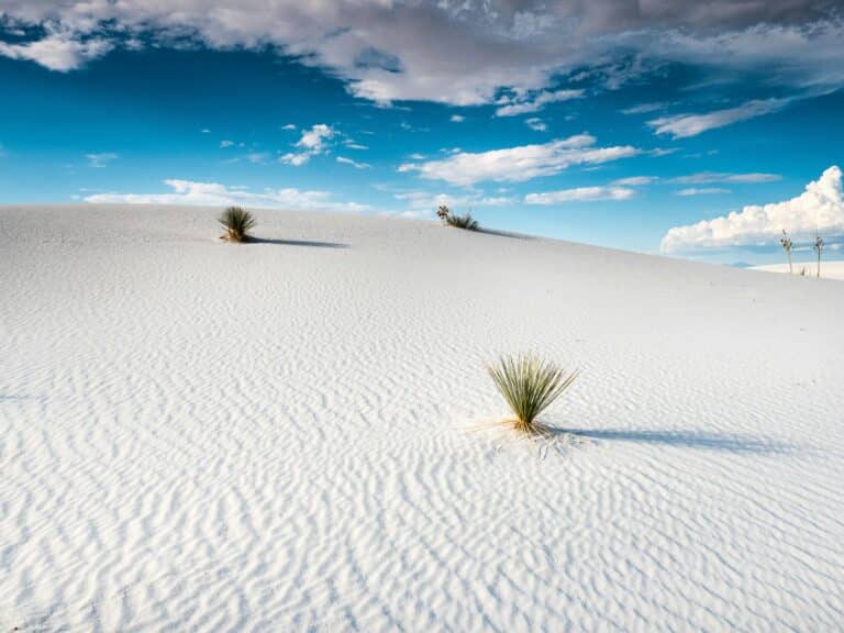 White Sands National Monument in New Mexico